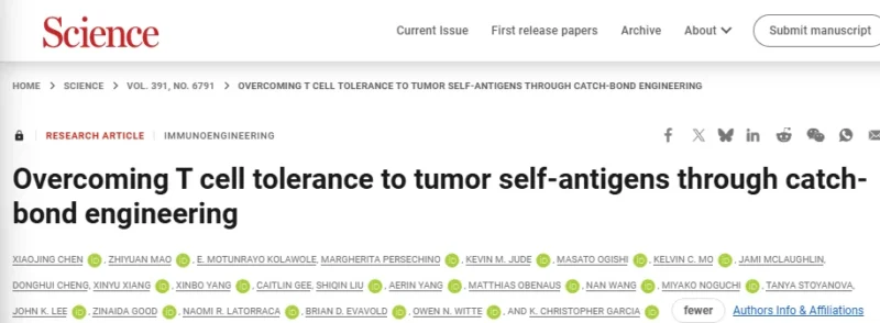 Scientists “Turbocharge” Immune Cells to Attack Prostate Cancer - UCLA Health