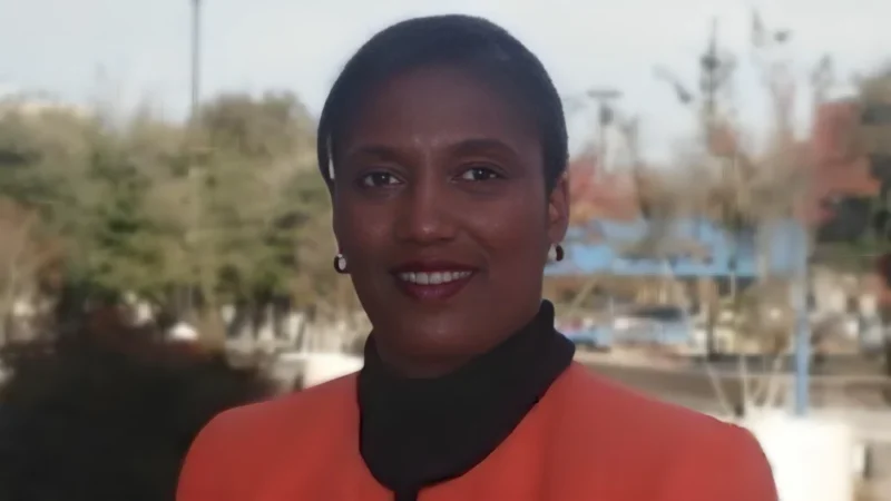 Terry Wilson-Gray Starts New Role as Emeritus Executive Director at Bridge Breast Network