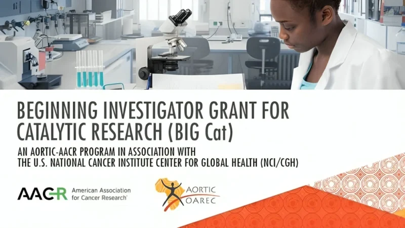 $60,000 BIG Cat Grants to Support Early-Career Cancer Researchers in Africa – AACR
