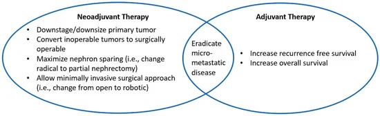 10 Ongoing Clinical Trials on Immunotherapy in Renal Cancer