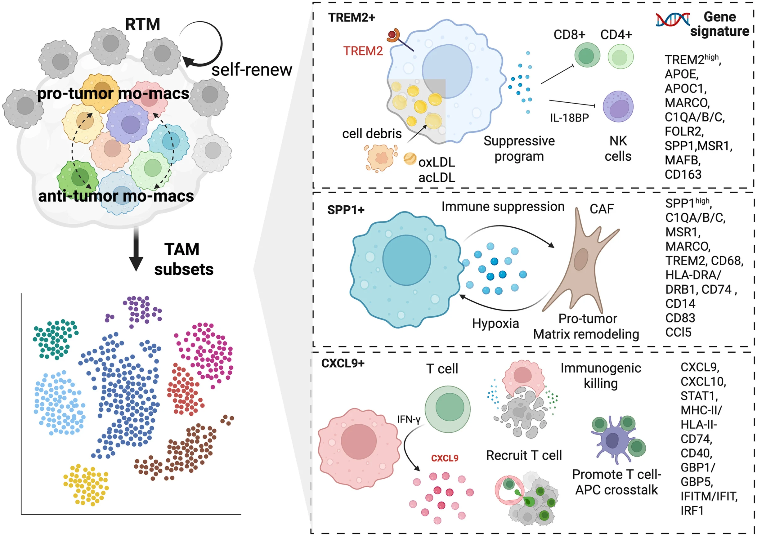 10 Must-Read Posts in Immuno-Oncology This Week