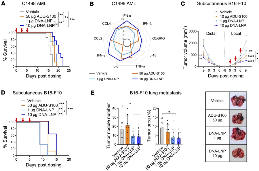DNA-LNP Immunotherapy as an Innate Immune Primer to Enhance Checkpoint Blockade