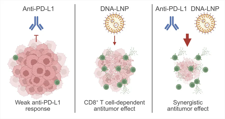 DNA-LNP Immunotherapy as an Innate Immune Primer to Enhance Checkpoint Blockade