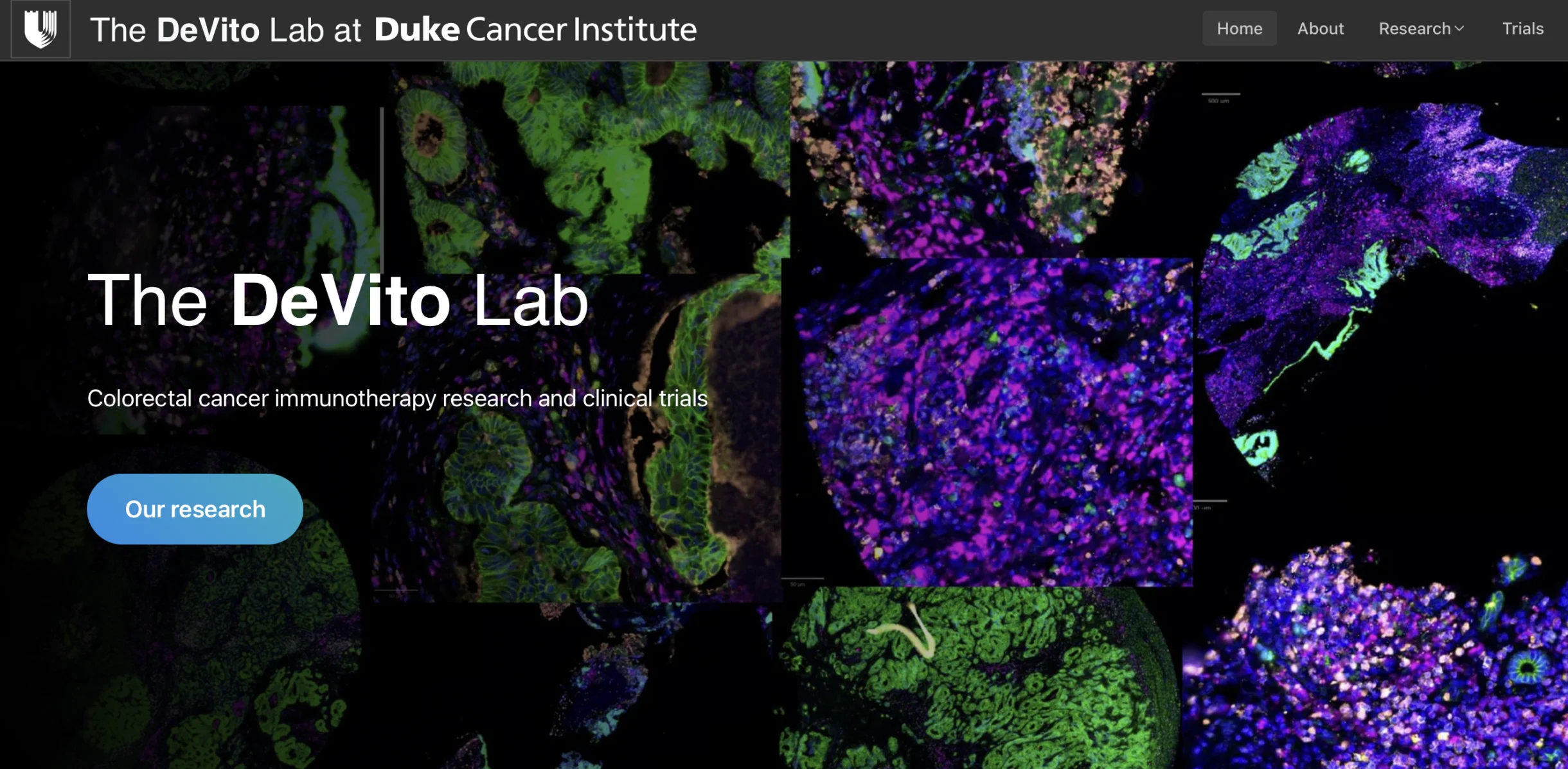 10 Must-Read Posts in Immuno-Oncology This Week