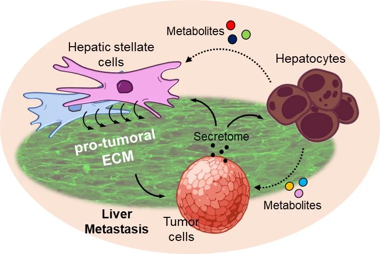 Georgios Efthymiou post
