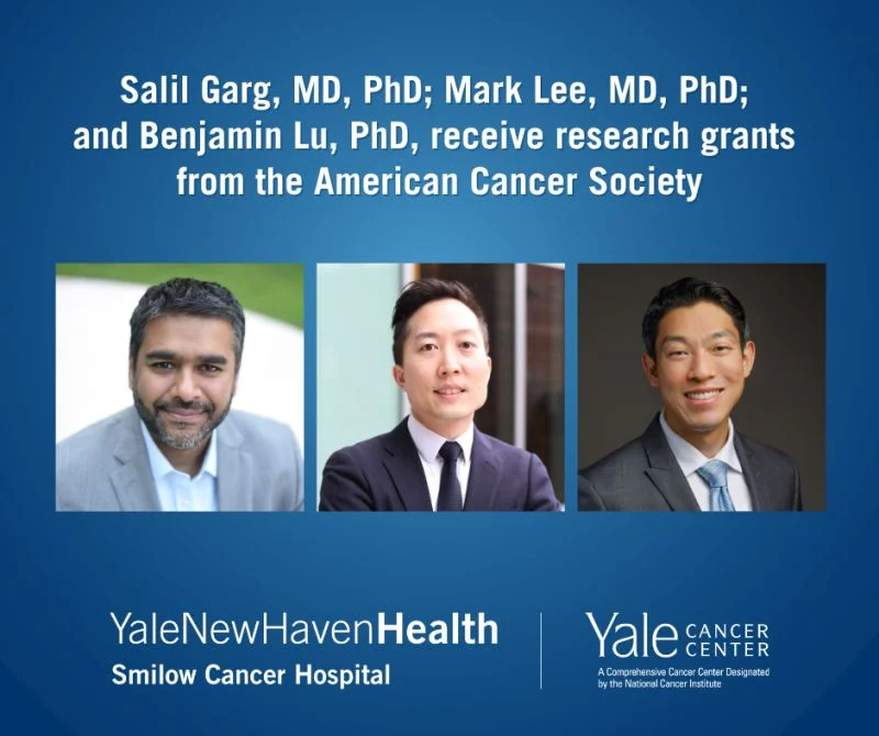 Mark Lee, Benjamin Lu and Salil Garg