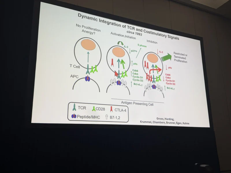 Highlights from AACR 2026 Part 2