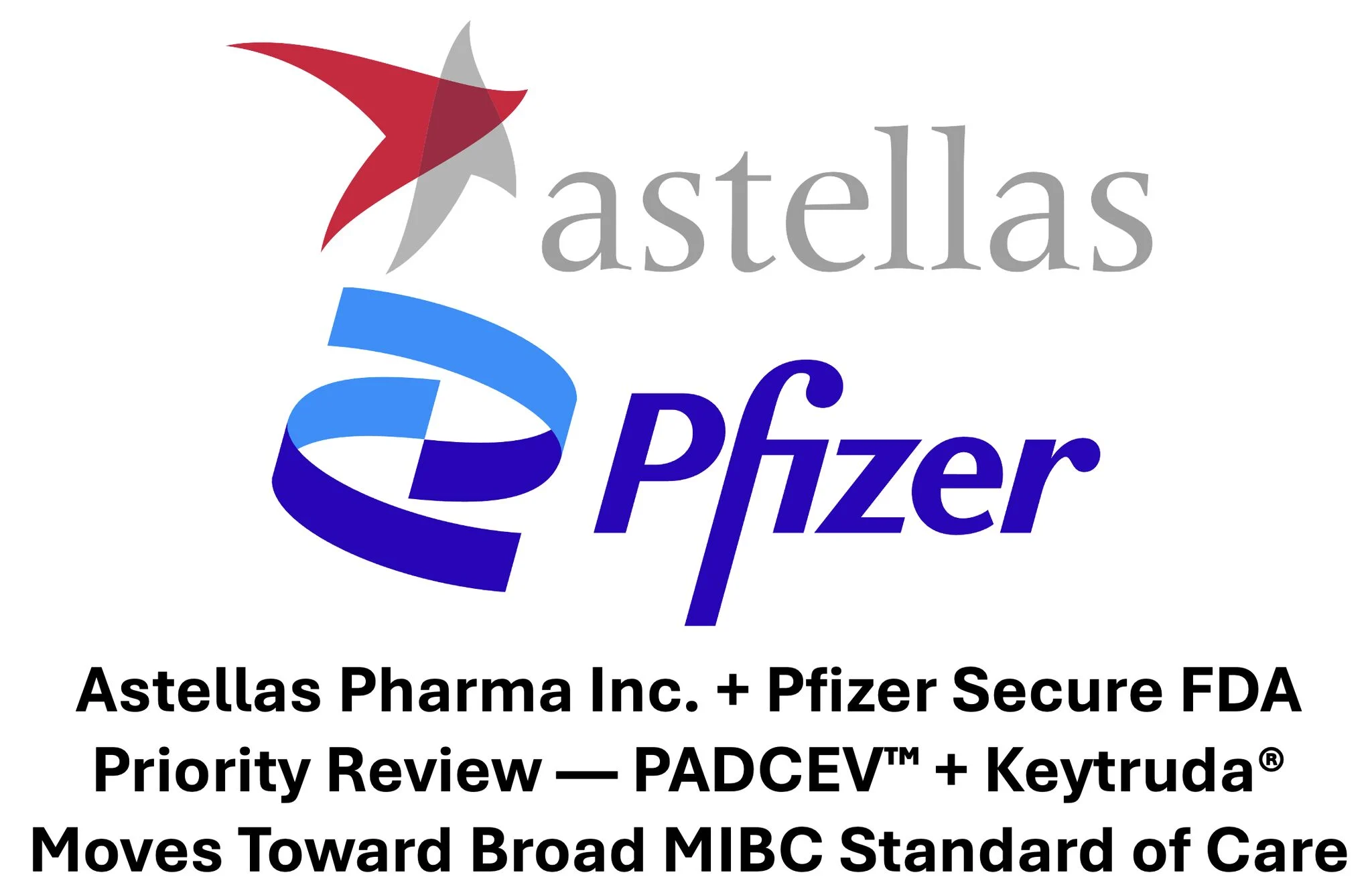 10 Must-Read Posts in Immuno-Oncology This Week