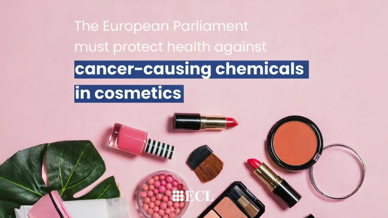Calling on the European Parliament to Defend Strong Evidence-Based Measures to Prevent Cancer – ECL