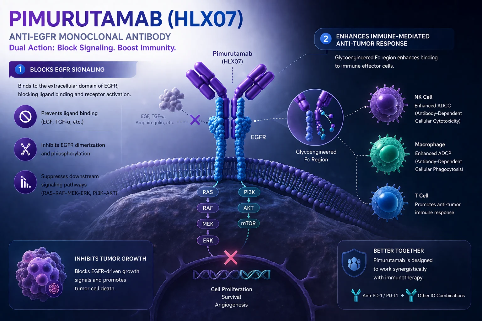 Pimurutamab (HLX07) + Serplulimab + Chemotherapy Completes CTN in Australia