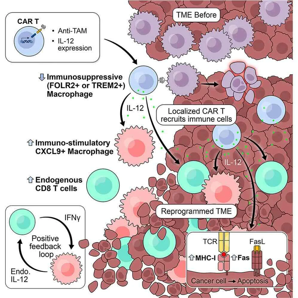 10 Must-Read Posts in Immuno-Oncology This Week