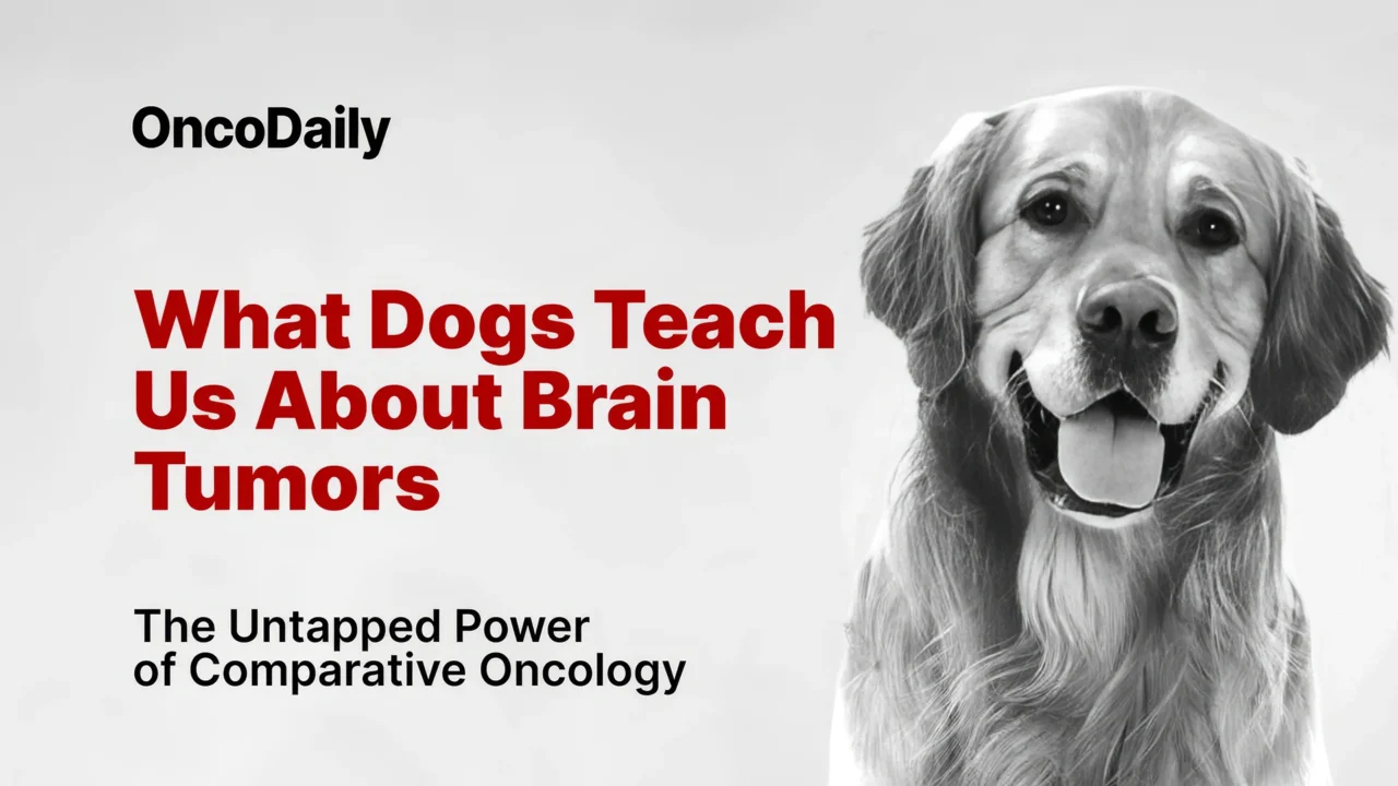 What Dogs Teach Us About Brain Tumors: The Untapped Power of Comparative Oncology