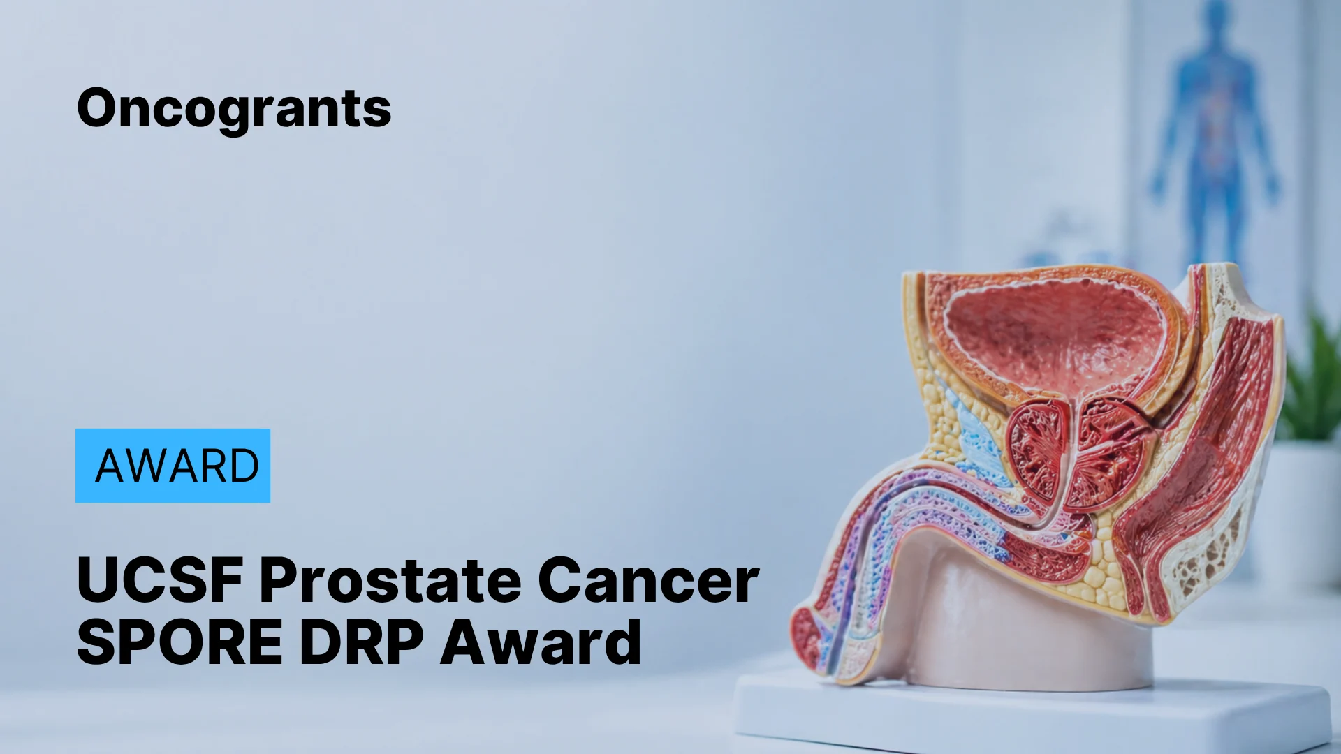 UCSF Prostate Cancer SPORE 2026 Developmental Research Program (DRP) Award