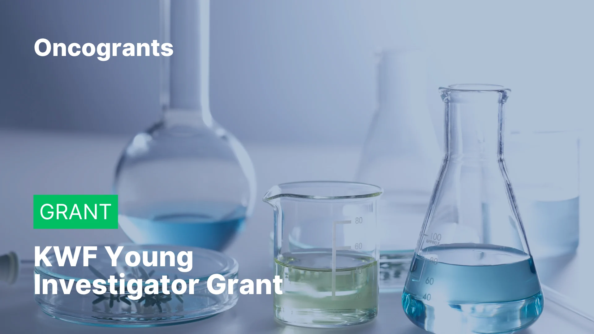 KWF Young Investigator Grant 2026 — Dutch Cancer Society (Netherlands/Europe)
