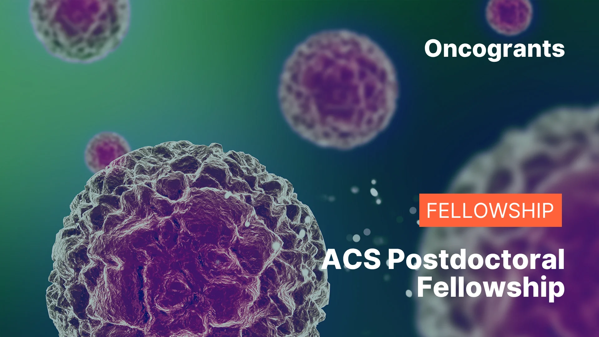 American Cancer Society Postdoctoral Fellowship