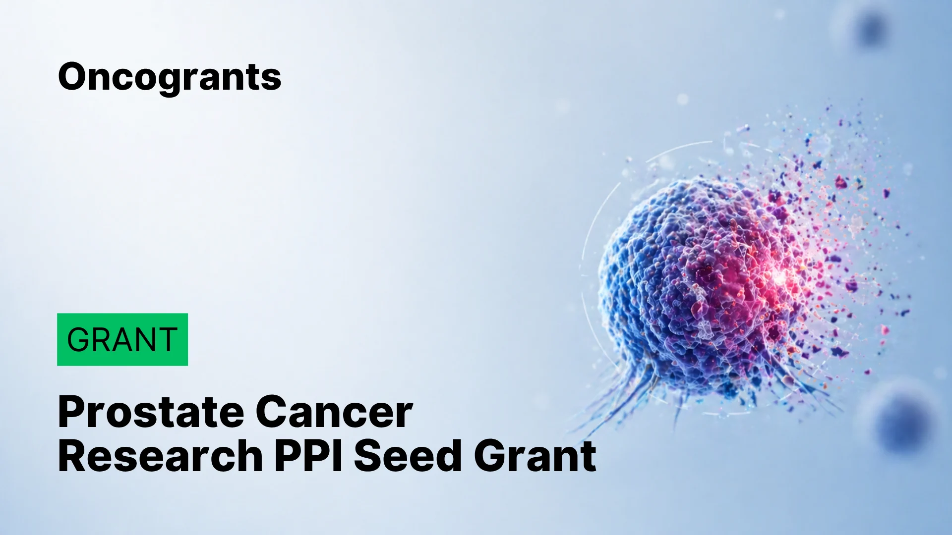 Prostate Cancer Research (UK Charity) Patient and Public Involvement (PPI) Seed Grant