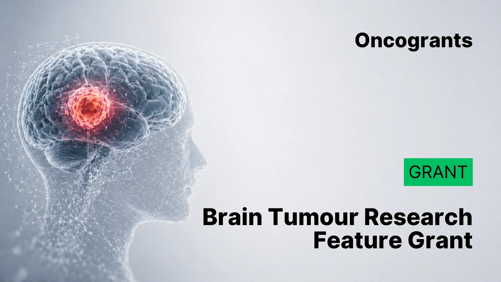 Brain Tumour Foundation of Canada — 2026 Brain Tumour Research Feature Grant