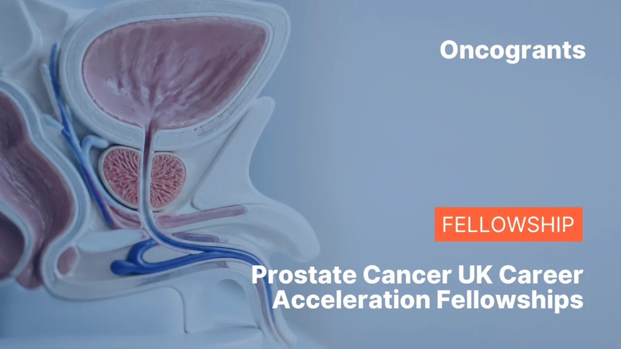 Prostate Cancer UK 2026 Career Acceleration Fellowships