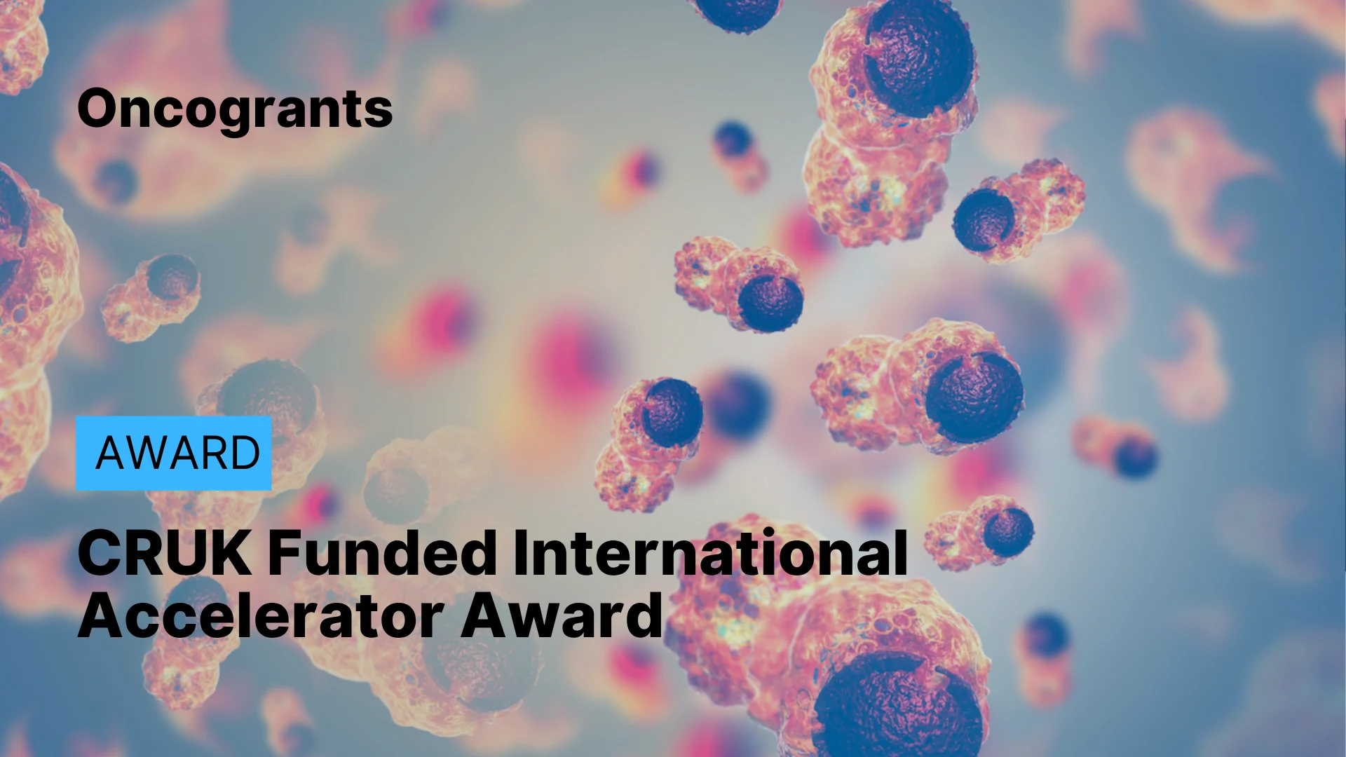 Cancer Research UK–Funded International Accelerator Award 2026