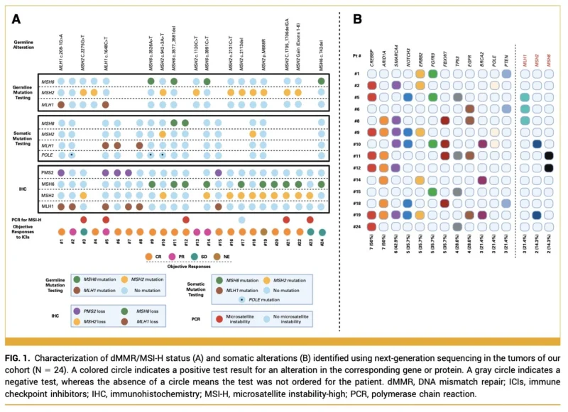 Mohammad Jad Moussa: Immune Checkpoint Inhibitors in dMMR/MSI-H Advanced Upper Tract Urothelial Carcinoma
