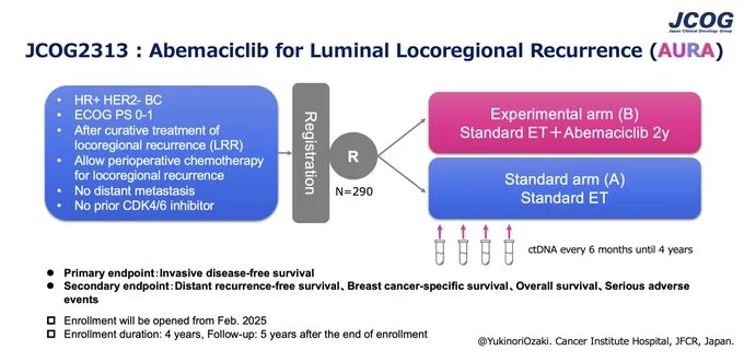 Yukinori Ozaki: New Trial of Abemaciclib in HR+/HER2− Locoregional Breast Cancer Recurrence