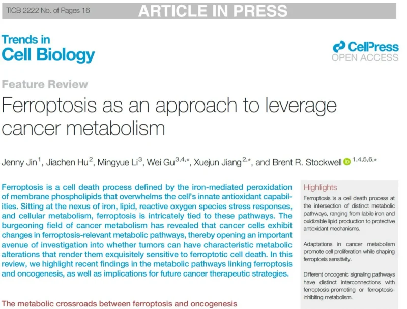 Brent Stockwell: New Review on Ferroptosis in Cancer Metabolism 2 Brent Stockwell