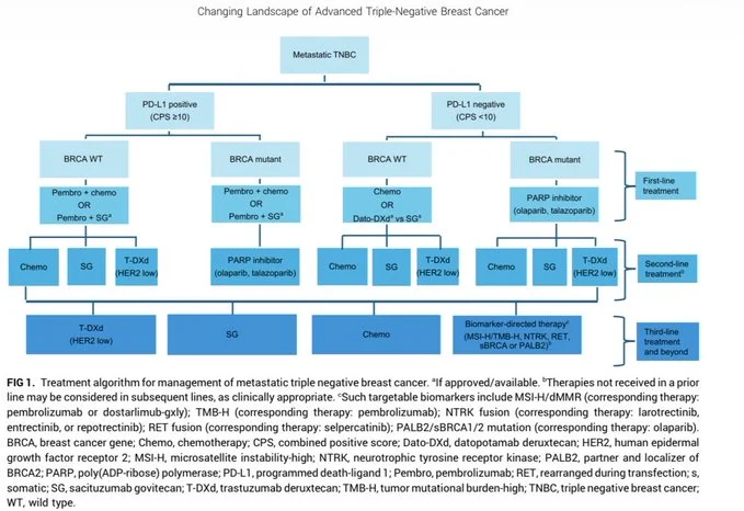 Rishabh Jain: TNBC Is No Longer a Chemotherapy Disease 2 Rishabh Jain: TNBC Is No Longer a Chemotherapy Disease