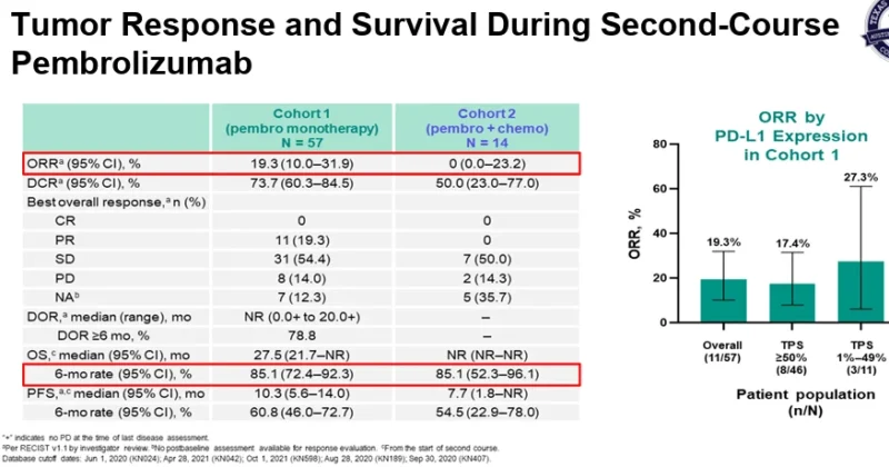 Lung Cancer - OncoDaily