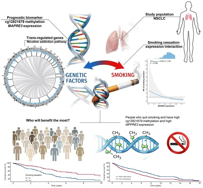 Manel Esteller: Helping To Crack The Lung Cancer Epigenetics Code