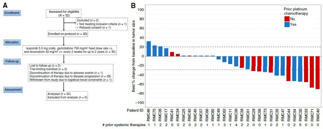 Pavlos Msaouel: Results of the 1st Prospective Trial of a Targeted Agent in SMARCB1-Deficient RMC