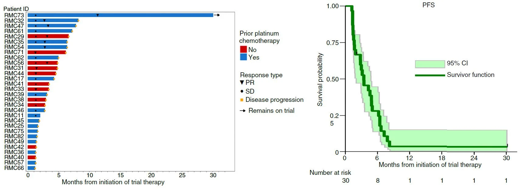Pavlos Msaouel: Results of the 1st Prospective Trial of a Targeted Agent in SMARCB1-Deficient RMC