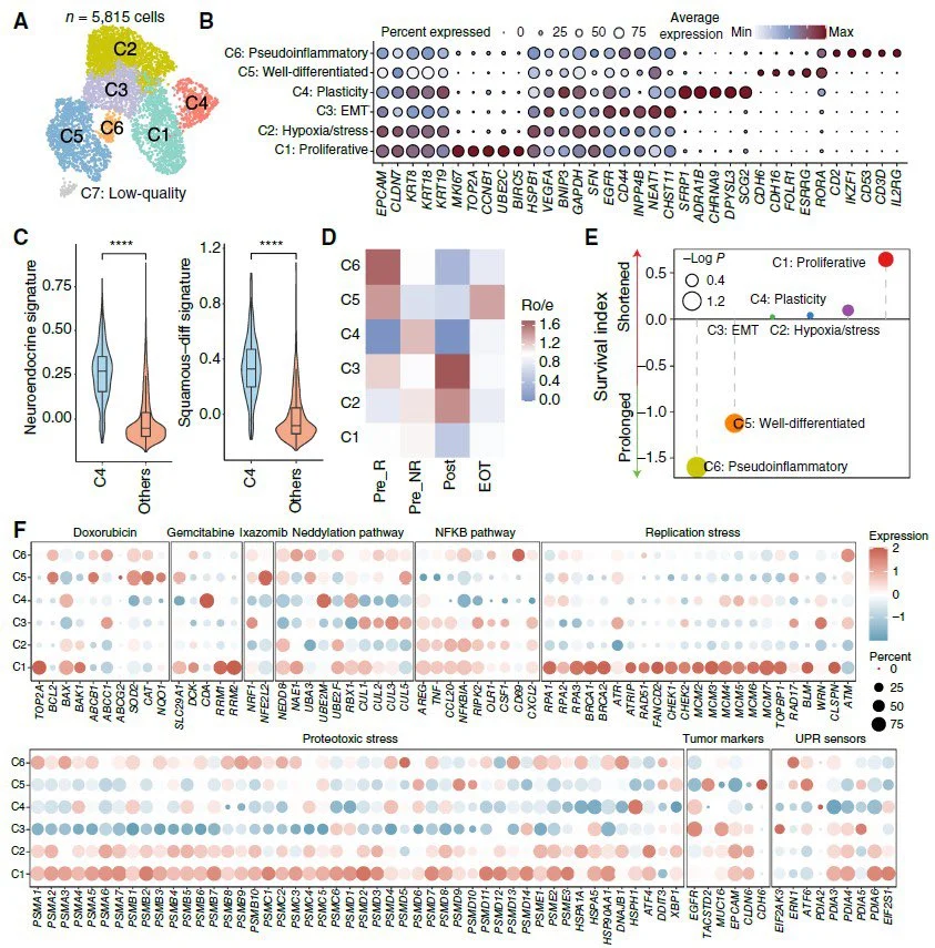 Pavlos Msaouel: Results of the 1st Prospective Trial of a Targeted Agent in SMARCB1-Deficient RMC