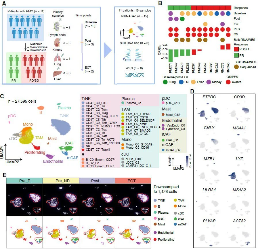 Pavlos Msaouel: Results of the 1st Prospective Trial of a Targeted Agent in SMARCB1-Deficient RMC
