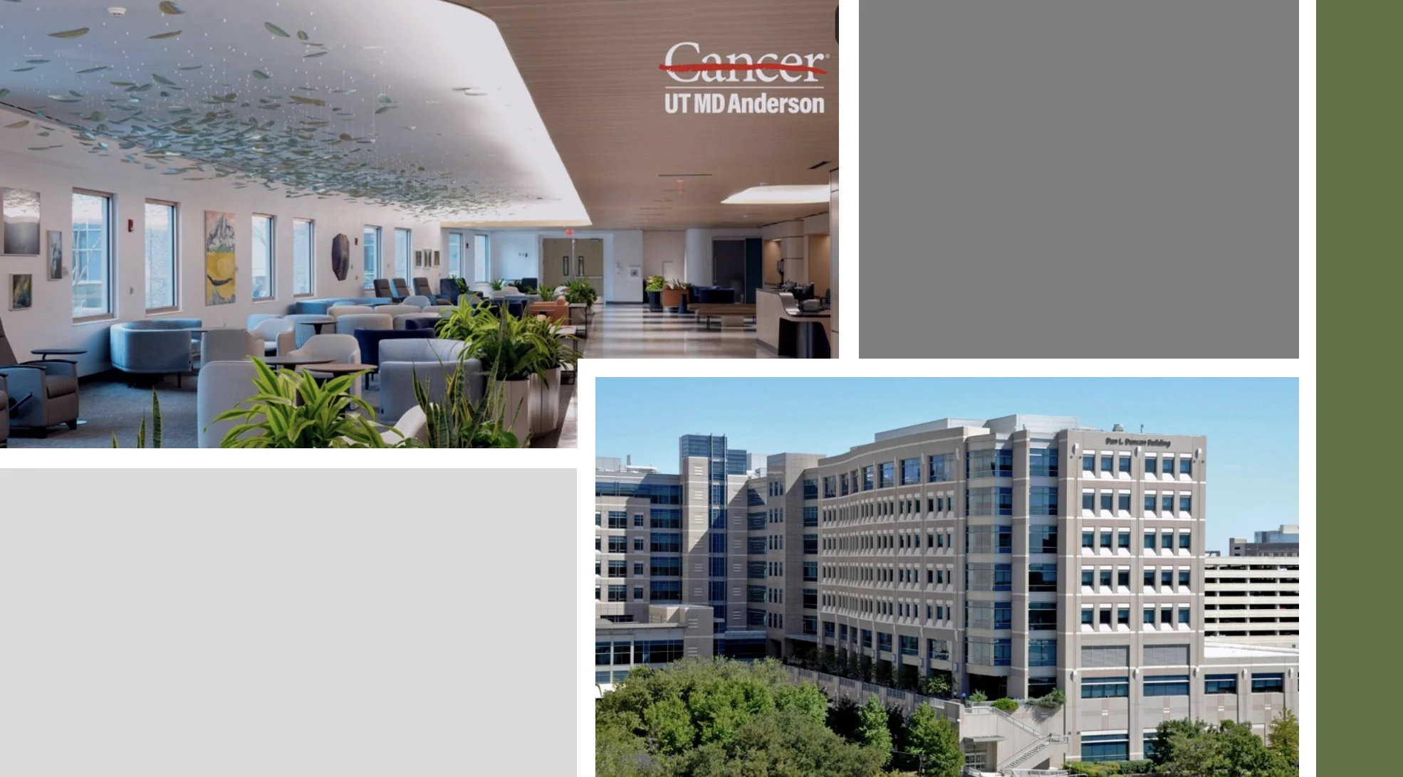 Anne Tsao: MD Anderson Recruiting Leaders for GI and Colorectal Medical Oncology Chair Roles