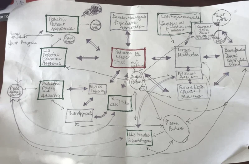 Gwen Nichols: You Can Help Us Accelerate Pediatric Cancer Drug Development