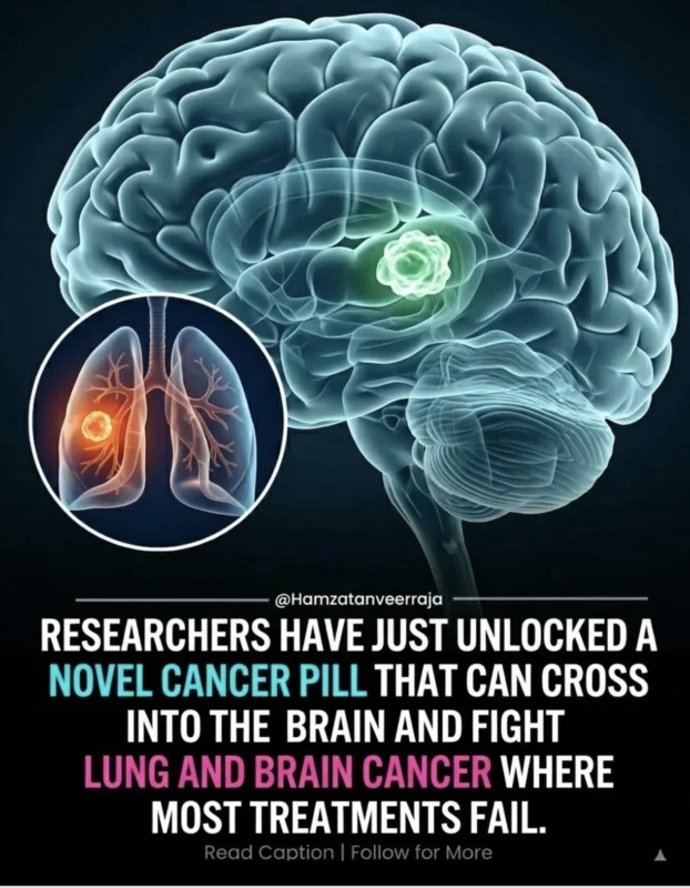 Hamza Tanveer: What If Lung Cancer Drugs Could Finally Reach The Brain?