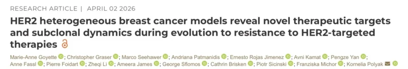 Pierre Foidart and Kornelia Polyak: Novel Therapeutic Targets in HER2-Heterogeneous Breast Cancer