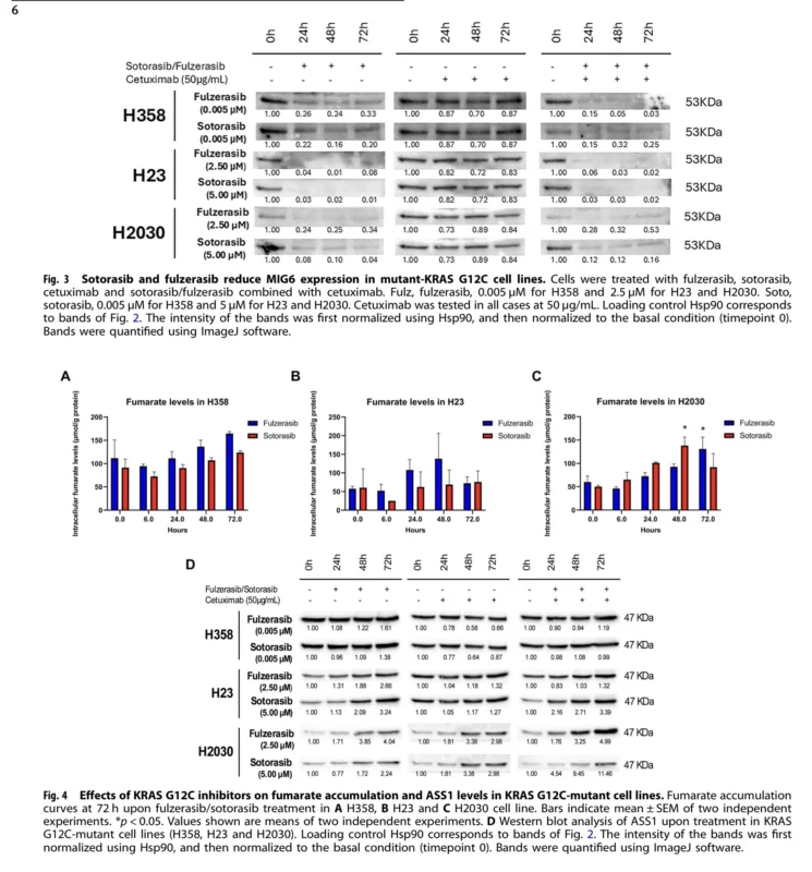 KRAS G12C NSCLC