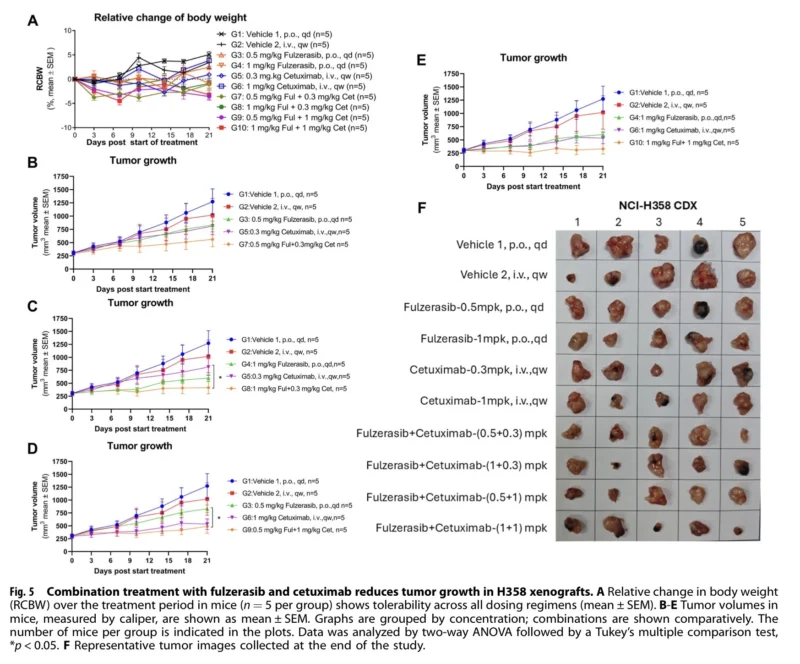 KRAS G12C NSCLC
