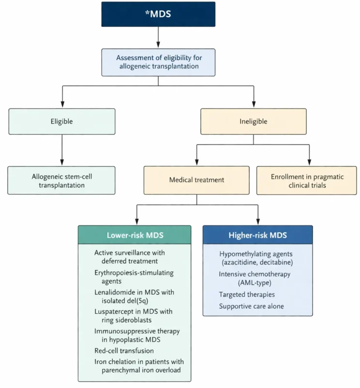 Myelodysplastic Neoplasms (MDS): From Ineffective Hematopoiesis to Sideroblastic Phenotype