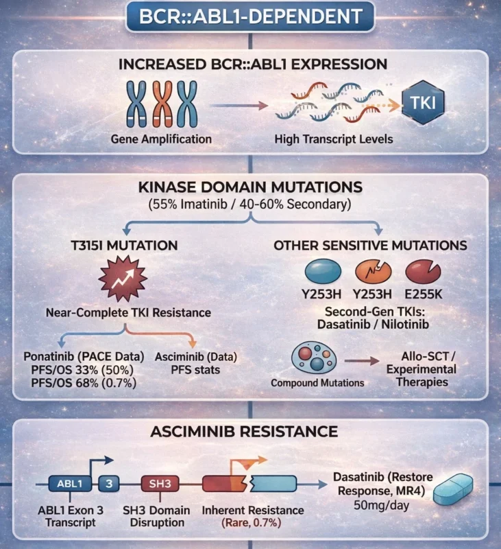 BCR::ABL1-Rearranged Chronic Myeloid Leukemia: Molecular Basis, TKI Resistance, and Emerging Therapies