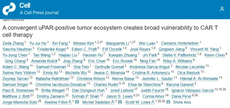 New CAR T Target Attacks Primary and Metastatic Tumors Across Multiple Cancers - MFCR