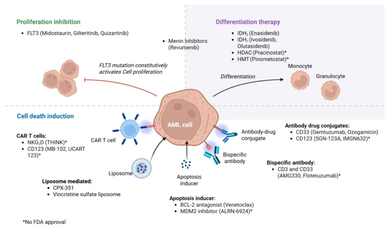 Acute Myeloid Leukemia (AML) in 2026: The Current Landscape and Future Perspectives
