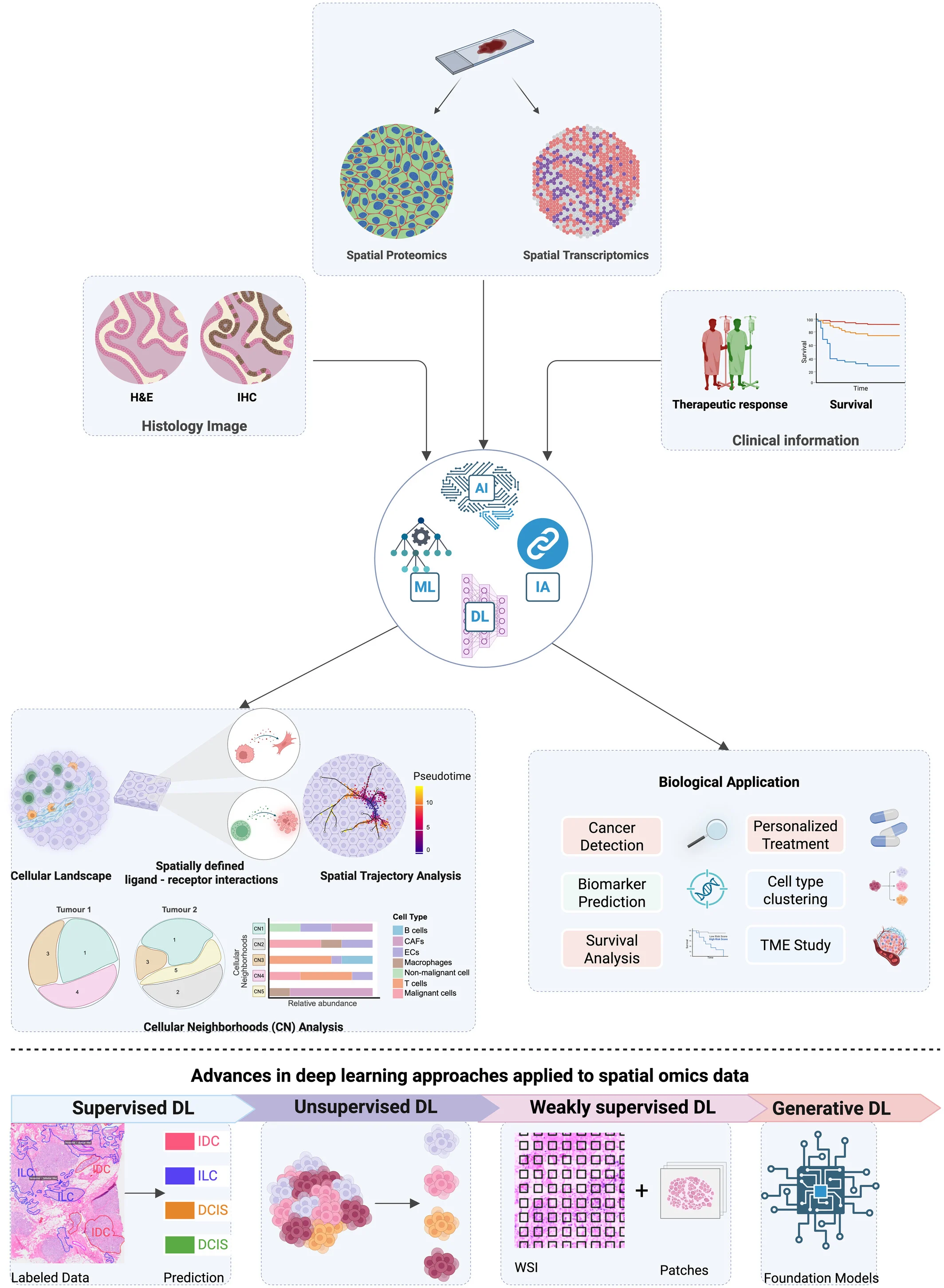 Spatial Omics for Characterizing the Dynamic Tumor Microenvironment