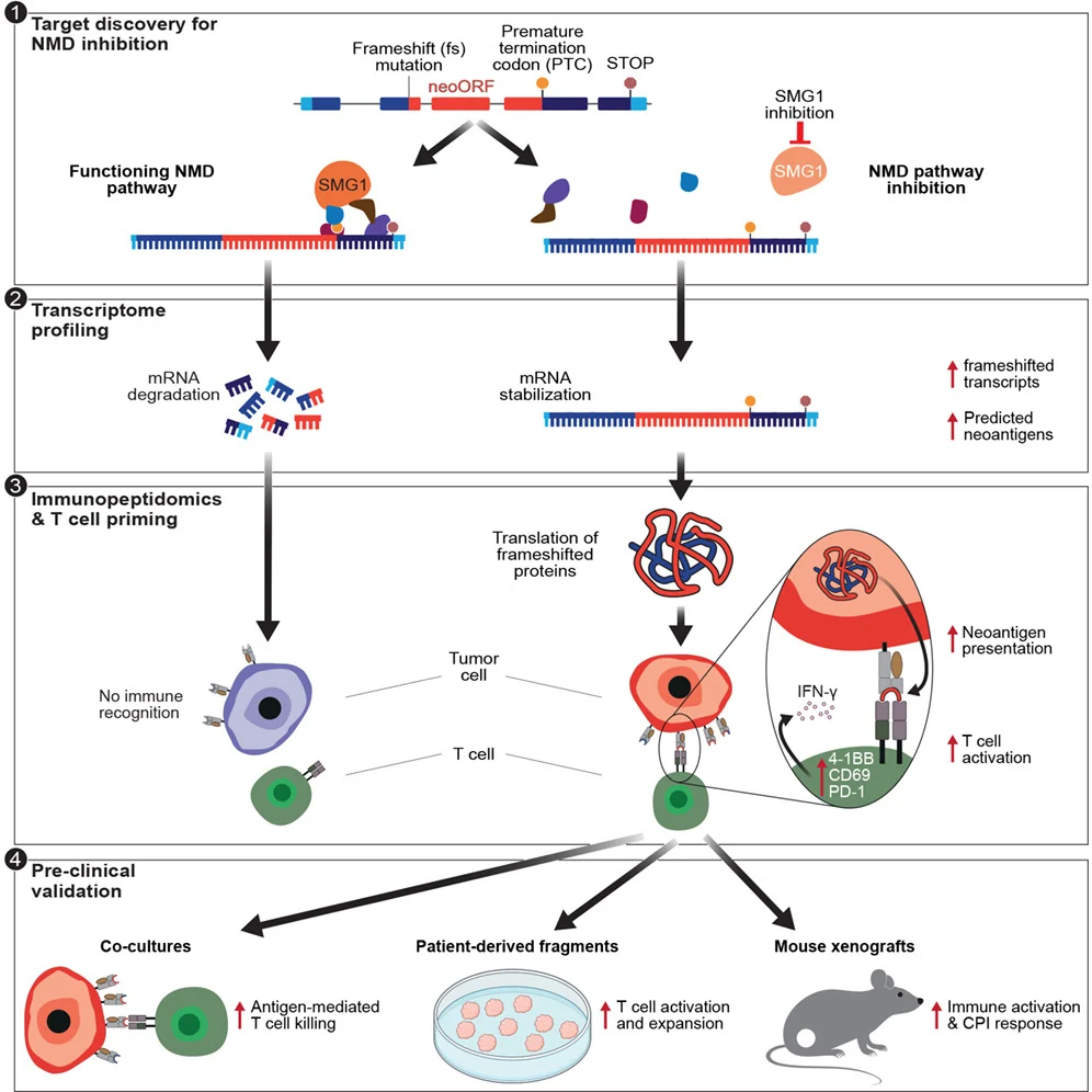 10 Must-Read Posts in Immuno-Oncology This Week