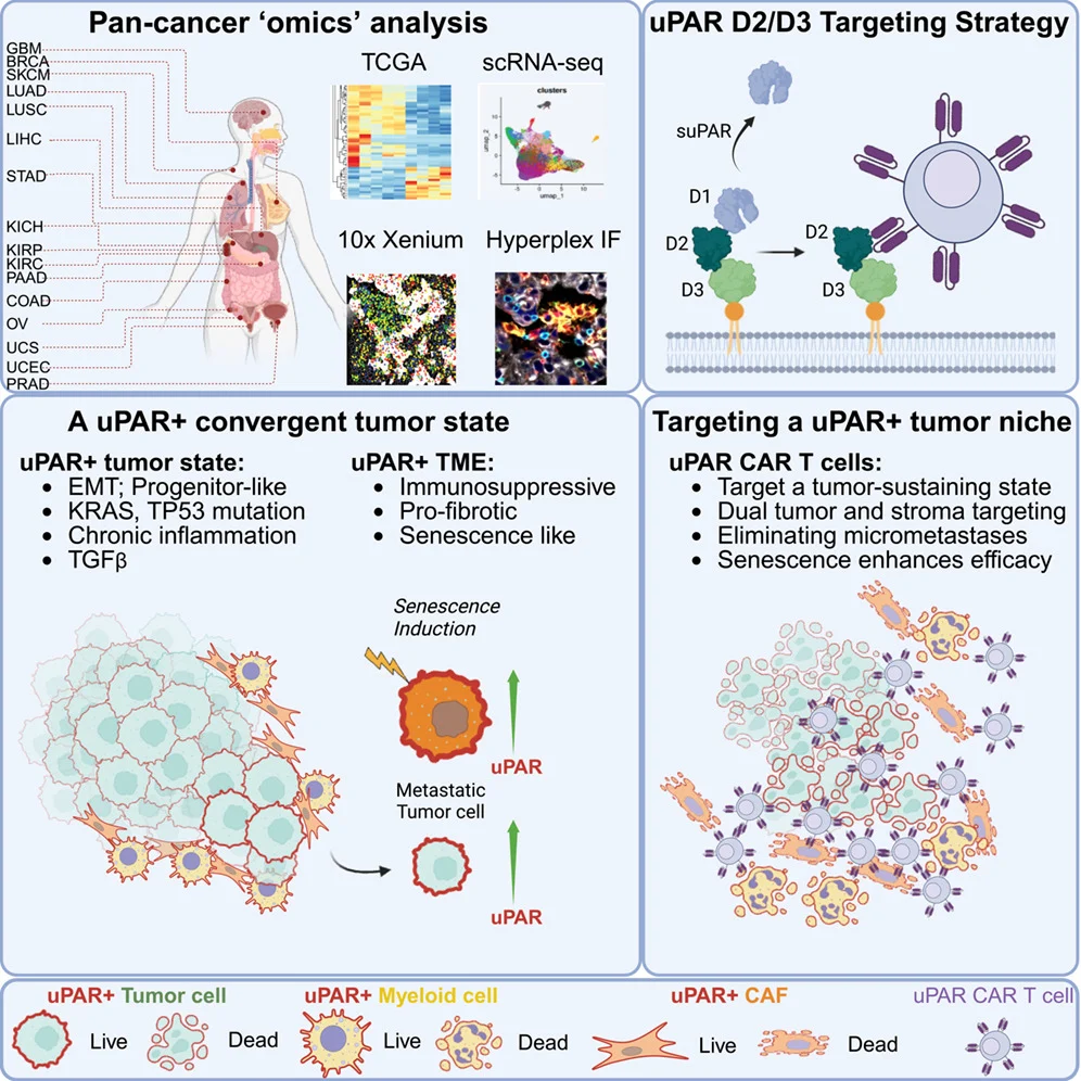 10 Must-Read Posts in Immuno-Oncology This Week