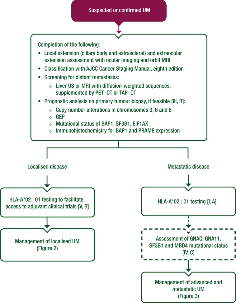 Uveal Melanoma 2026: What the Latest ESMO–EURACAN Guideline Tells Us