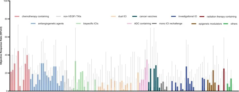 PD-(L)1 Rechallenge After Immunotherapy Resistance in Advanced NSCLC 3 PD-(L)1 rechallenge