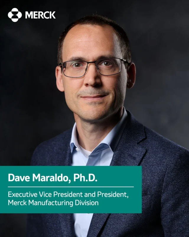 Dave Maraldo 