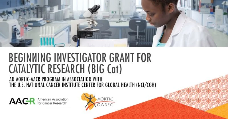 AACR BIG Cat Grants Available to Support Early-Career Cancer Researchers in Africa
